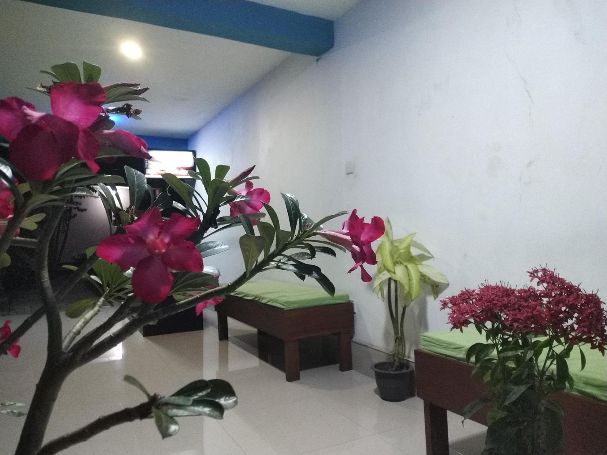 Blue Bell Hotel Negombo Exterior photo